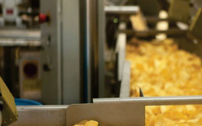 Innovating with ORIX: Exploring the Future of Corn Extrusion Technology